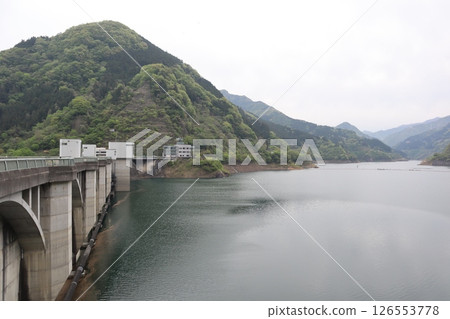 Lake Chichibu Sakura (Urayama Dam) 126553778