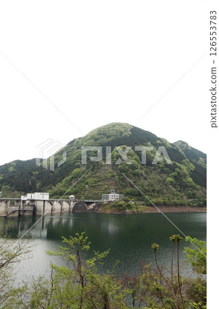 秩父櫻花湖(浦山水庫) 秩父櫻花湖(浦山水庫) 126553783