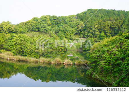 Tsuzura Dam (concrete gravity dam) Tsuzura Dam (concrete gravity dam) 126553812