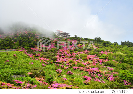 Miyama Kirishima of Nita Pass 126553901