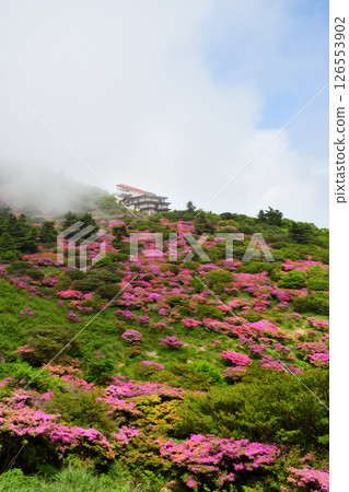 Miyama Kirishima of Nita Pass 126553902