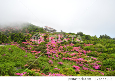 Miyama Kirishima of Nita Pass 126553908