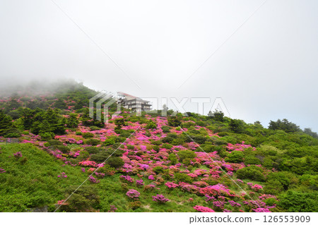 Miyama Kirishima of Nita Pass Miyama Kirishima of Nita Pass 126553909