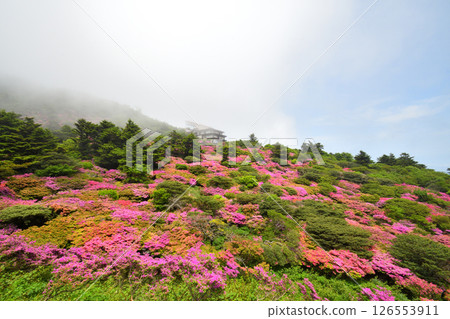 Miyama Kirishima of Nita Pass Miyama Kirishima of Nita Pass 126553911