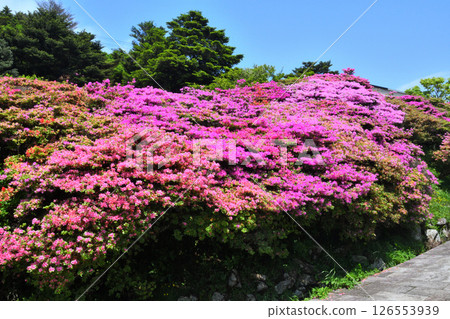 Miyama Kirishima of Nita Pass 126553939