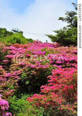 Miyama Kirishima of Nita Pass 126553948