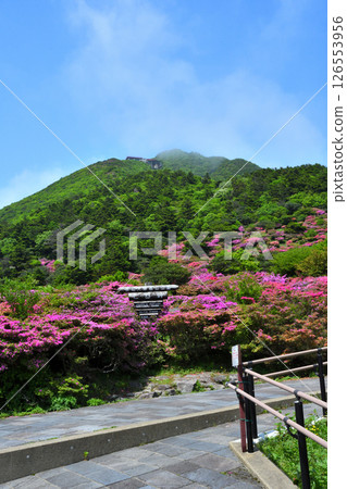 Miyama Kirishima of Nita Pass 126553956