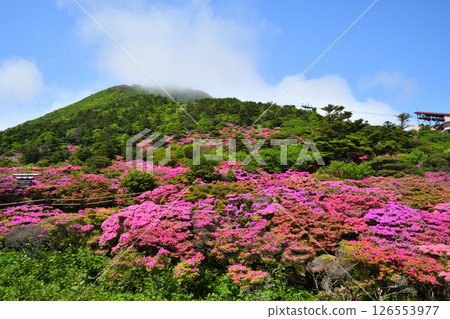 Nita Pass的Miyama Kirishima Nita Pass的Miyama Kirishima 126553977