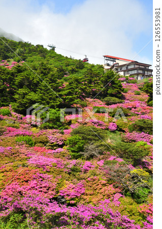 Miyama Kirishima of Nita Pass 126553981