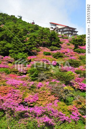 Nita Pass的Miyama Kirishima Nita Pass的Miyama Kirishima 126553982