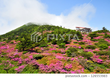 Nita Pass的Miyama Kirishima Nita Pass的Miyama Kirishima 126553983