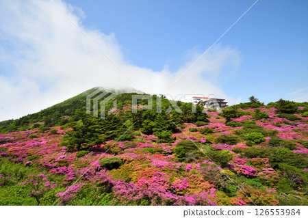 Nita Pass的Miyama Kirishima Nita Pass的Miyama Kirishima 126553984