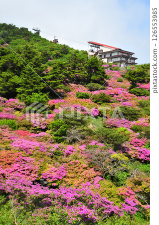 Nita Pass的Miyama Kirishima 126553985