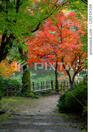 秋天的高岡城公園 126554109