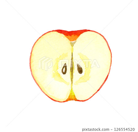 Apple cut in half - Hand-drawn watercolor illustration of fruit Apple cut in half - Hand-drawn watercolor illustration of fruit 126554520