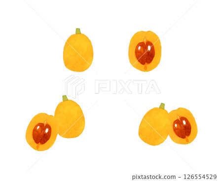 枇杷套裝-水果手繪水彩插圖集 枇杷套裝-水果手繪水彩插圖集 126554529