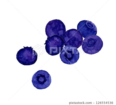 簡單的藍莓果實手繪水彩插畫素材 126554536