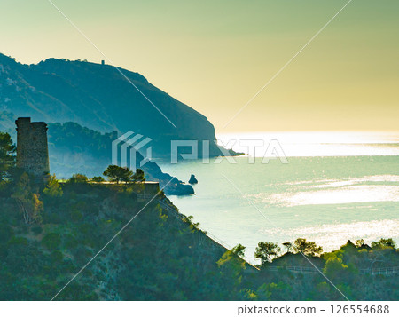 Spanish coast with Pine Tower, Andalusia. 126554688