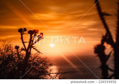 Sunset or sunrise over sea surface Sunset or sunrise over sea surface 126554958