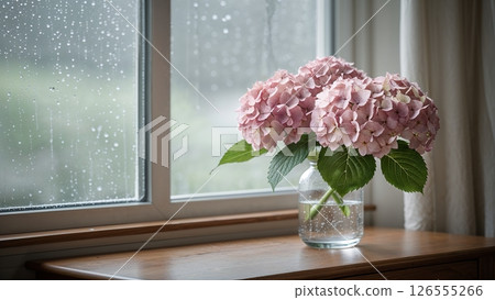 A rain-soaked window and pale pink hydrangeas 126555266