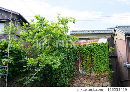 An old and very beautiful building in Murozu, Tatsuno City, Hyogo Prefecture, Japan An old and very beautiful building in Murozu, Tatsuno City, Hyogo Prefecture, Japan 126555439
