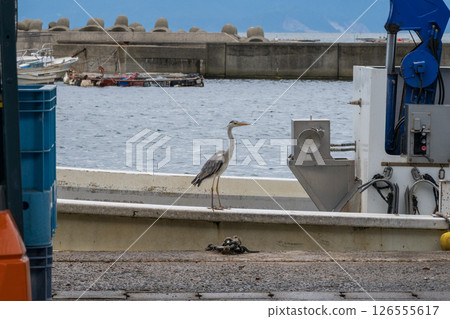 日本兵庫縣龍野市室津風景非常美麗 日本兵庫縣龍野市室津風景非常美麗 126555617