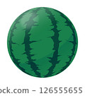 watermelon   126555655