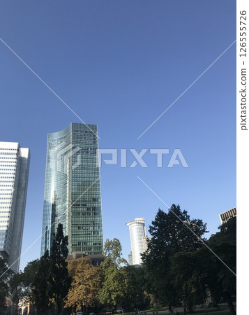 skyscrapers in the city skyscrapers in the city 126555726