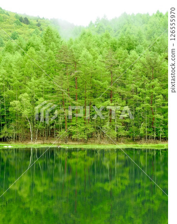 彌散神秘薄霧的長野郡著名景點－彌散池 126555970