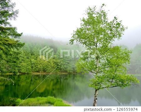 Mishaka Pond, a famous spot in Nagano Prefecture, shrouded in a mystical mist Mishaka Pond, a famous spot in Nagano Prefecture, shrouded in a mystical mist 126555974