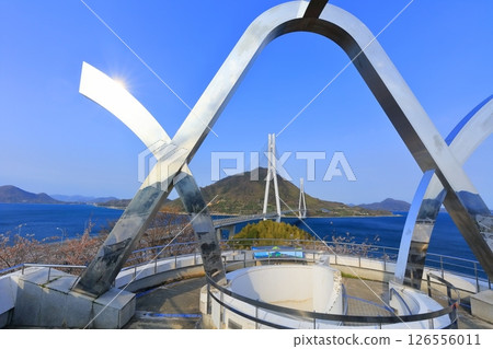 [Hiroshima Prefecture] Cherry blossoms in spring as seen from Tatara Observatory (Tatara Bridge) 126556011