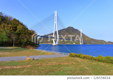 [Hiroshima Prefecture] Tatara Bridge as seen from Tatara Shimanami Park Roadside Station in spring 126556018