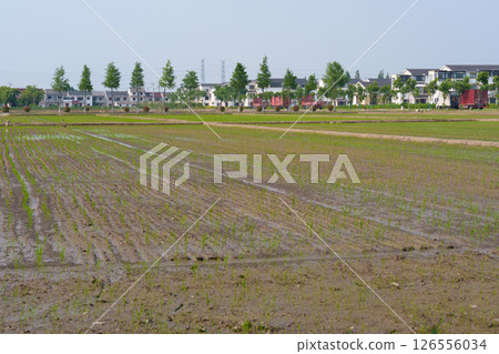 藍天下的鄉村田園與現代住宅 126556034