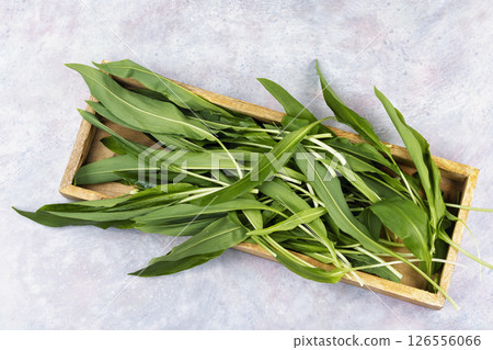 Wild Spring Ramps. Wild Spring Ramps. 126556066
