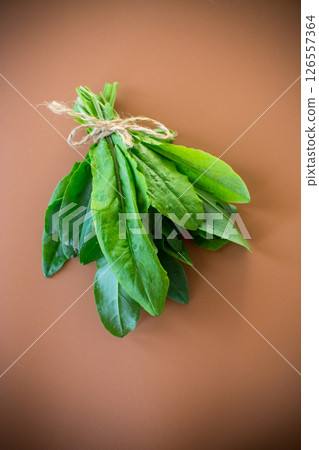 Healthy bunch of sorrel for summer dishes 126557364