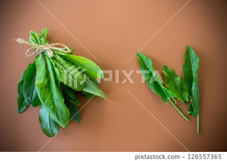 Green sorrel leaves for healthy eating on brown background 126557365