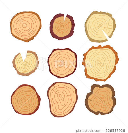 wood circle set cartoon vector illustration 126557926