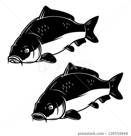 Illustration of carp fish in monochrome style. Carp fish isolated on white background Illustration of carp fish in monochrome style. Carp fish isolated on white background 126558948