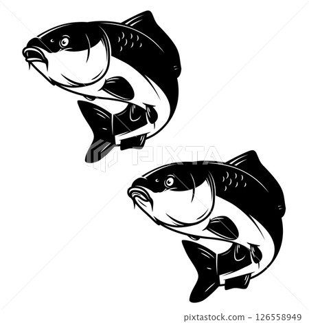 Illustration of carp fish in monochrome style. Carp fish  isolated on white background 126558949