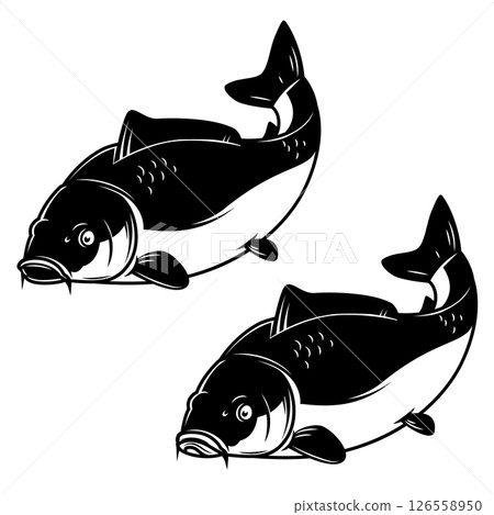 Illustration of carp fish in monochrome style. Carp fish  isolated on white background 126558950