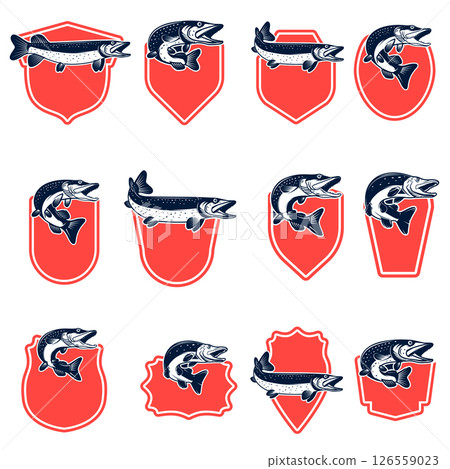 Set of fishing emblems with pike fish Design element for emblem, sign, badge. Vector illustration Set of fishing emblems with pike fish Design element for emblem, sign, badge. Vector illustration 126559023