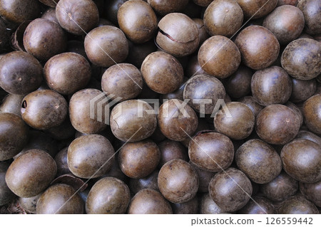 Luo Han Hui 126559442