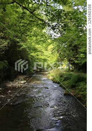 初夏的帝釋峽 初夏的帝釋峽 126560108