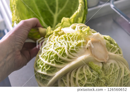 Green kale in a kitchen, brassica oleracea Green kale in a kitchen, brassica oleracea 126560652