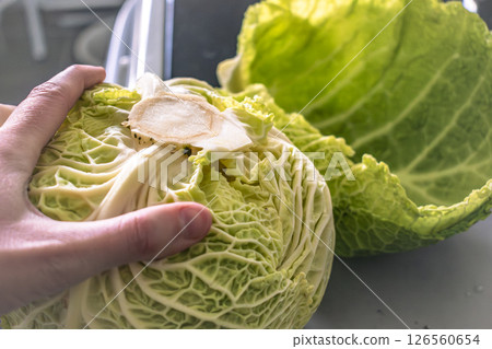 Green kale in a kitchen, brassica oleracea Green kale in a kitchen, brassica oleracea 126560654