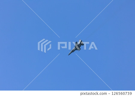F-16 Fighting Falcon training flight 126560739
