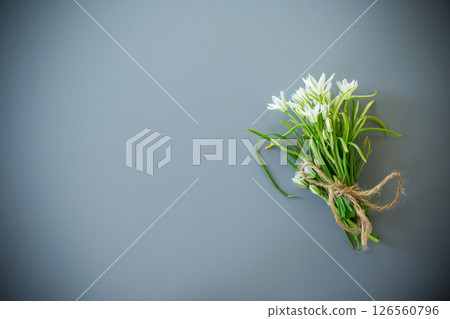 Bunch of white spring flowers on a gray background Bunch of white spring flowers on a gray background 126560796