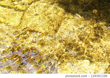 彩色流河透明(2025年5月註冊) 彩色流河透明(2025年5月註冊) 126561106