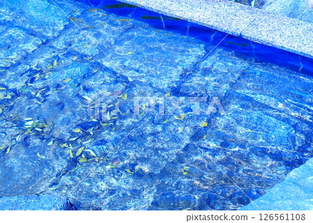 彩色流河透明(2025年5月註冊) 彩色流河透明(2025年5月註冊) 126561108