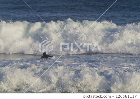 衝浪者衝浪 衝浪者衝浪 126561117